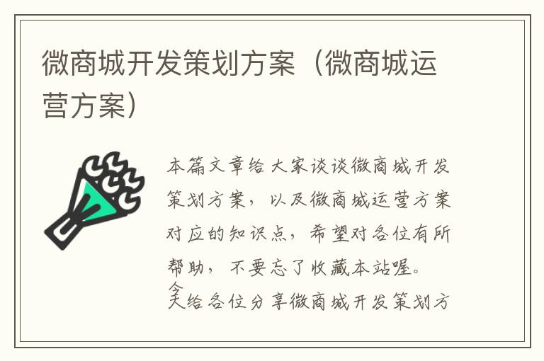 微商城开发策划方案(微商城运营方案)