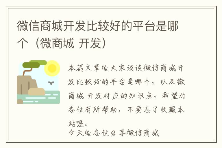 微信商城开发比较好的平台是哪个(微商城 开发)