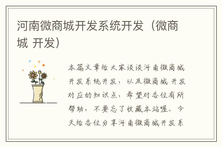 河南微商城开发系统开发(微商城 开发)