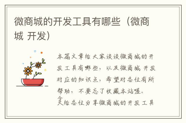 微商城的开发工具有哪些(微商城 开发)