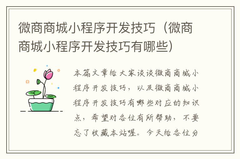 微商商城小程序开发技巧(微商商城小程序开发技巧有哪些)