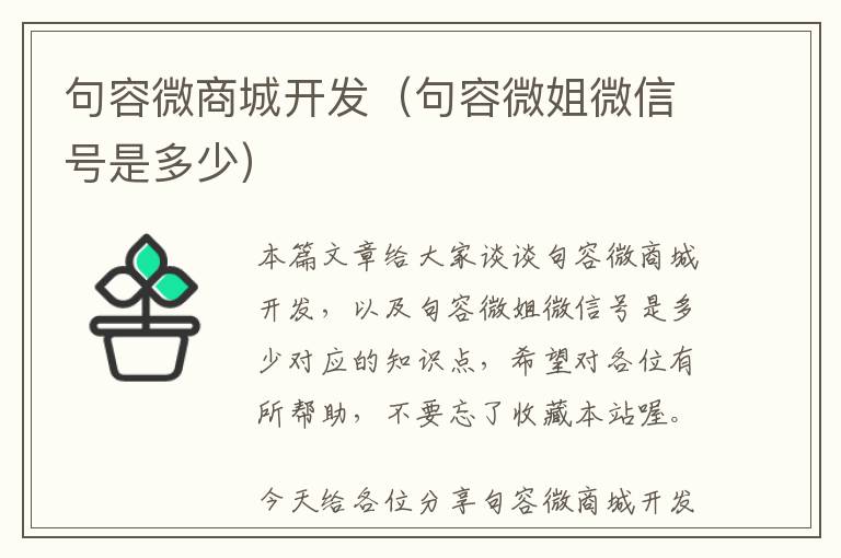 句容微商城开发(句容微姐微信号是多少)