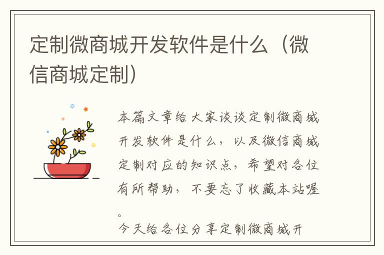 定制微商城开发软件是什么(微信商城定制)