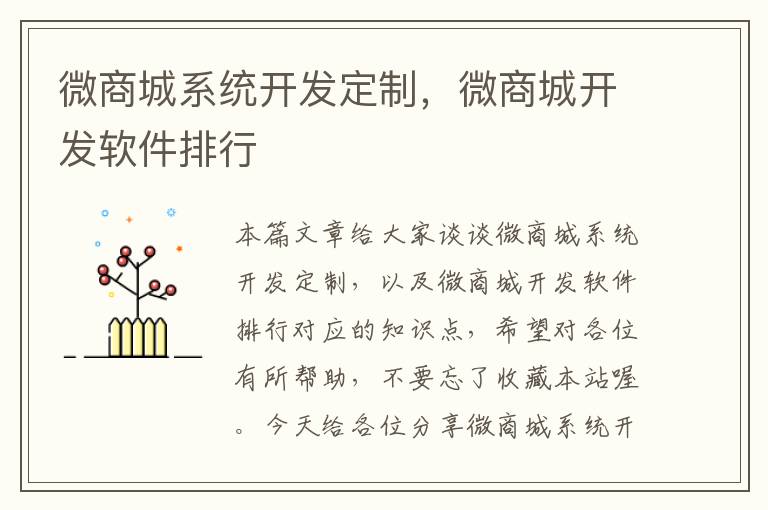 微商城系统开发定制,微商城开发软件排行