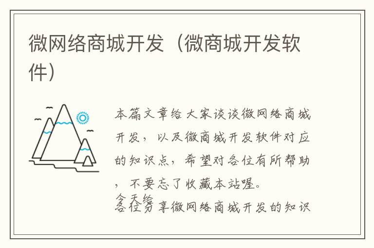 微网络商城开发(微商城开发软件)
