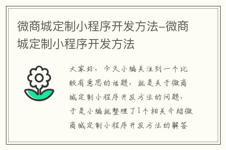 微商城定制小程序开发方法-微商城定制小程序开发方法