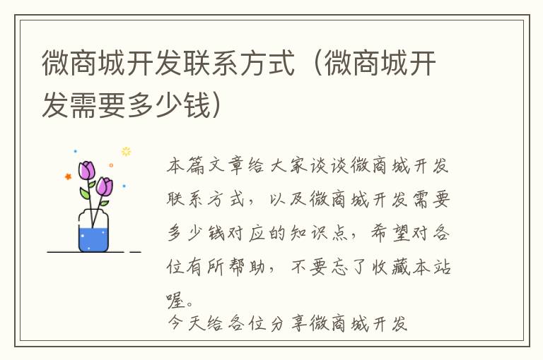 微商城开发联系方式(微商城开发需要多少钱)