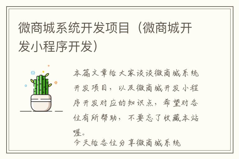 微商城系统开发项目(微商城开发小程序开发)