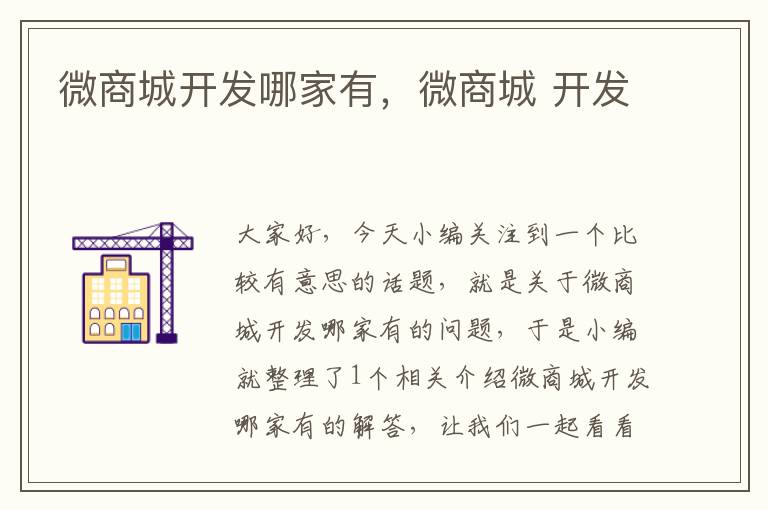微商城开发哪家有,微商城 开发