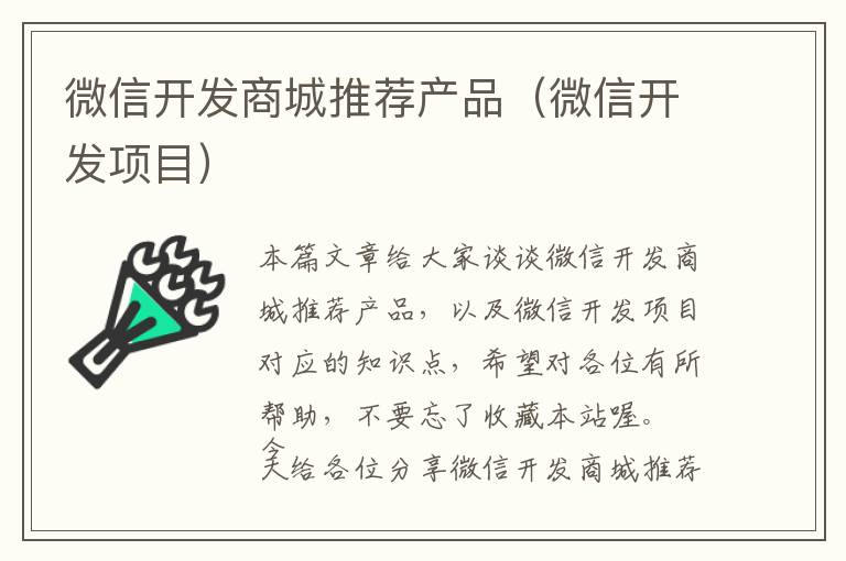 微信开发商城推荐产品(微信开发项目)