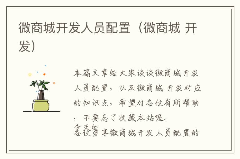 微商城开发人员配置(微商城 开发)