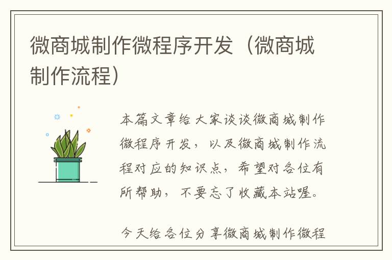 微商城制作微程序开发(微商城制作流程)