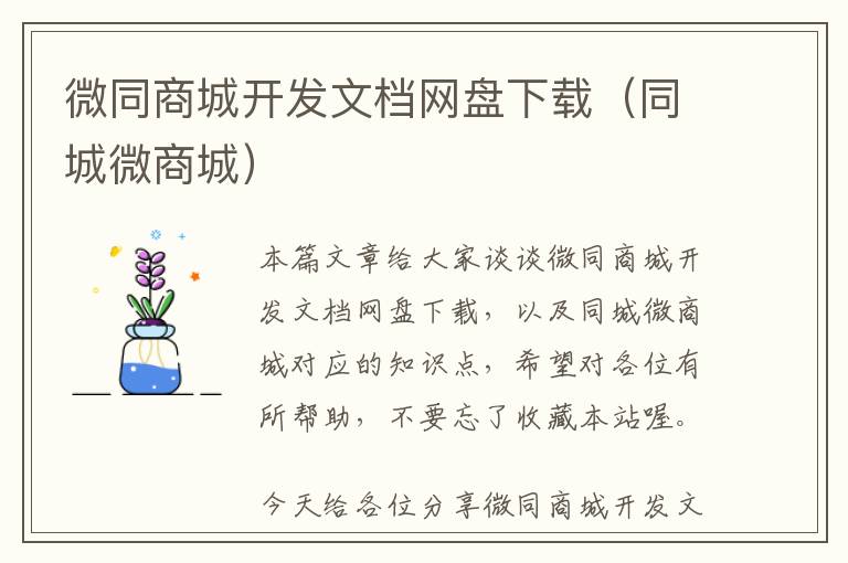 微同商城开发文档网盘下载(同城微商城)