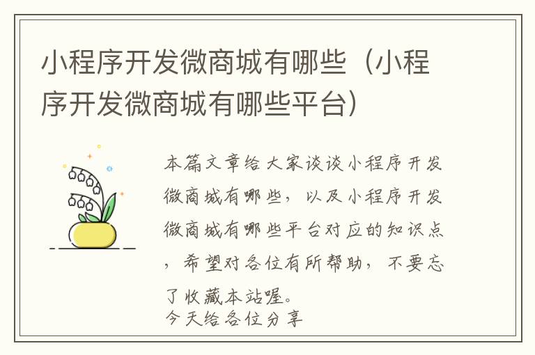 小程序开发微商城有哪些(小程序开发微商城有哪些平台)