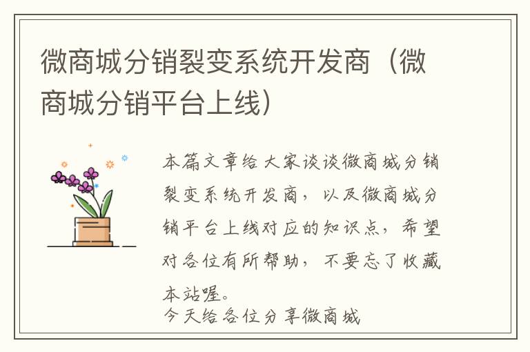 微商城分销裂变系统开发商(微商城分销平台上线)