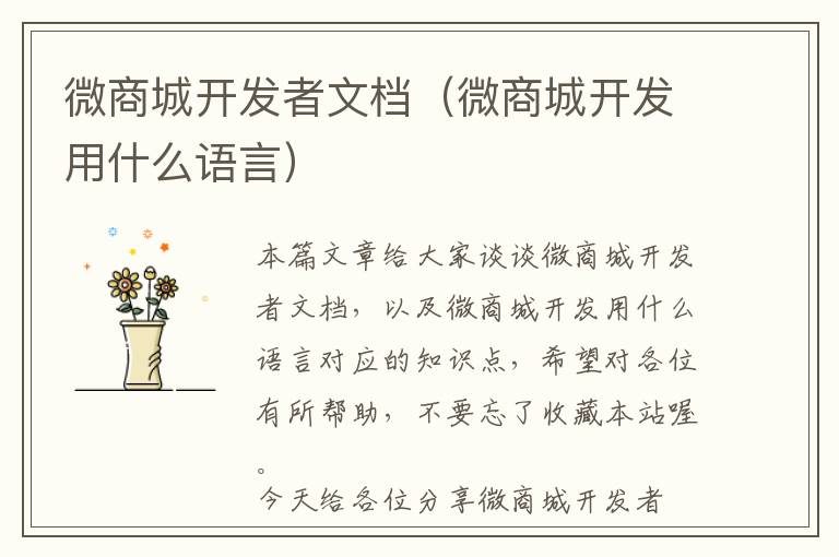 微商城开发者文档(微商城开发用什么语言)
