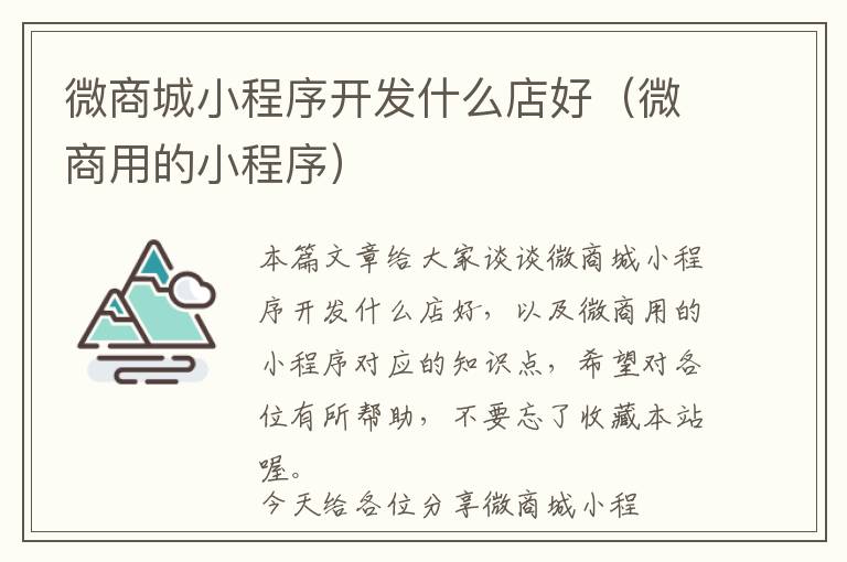 微商城小程序开发什么店好(微商用的小程序)