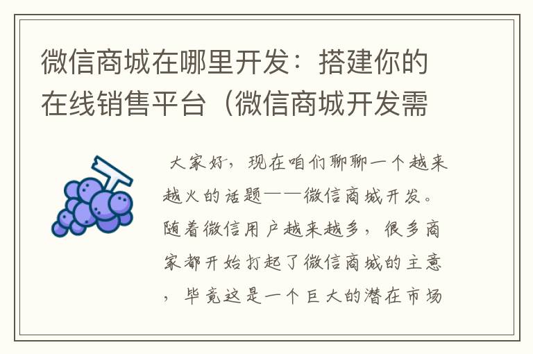微信商城在哪里开发:搭建你的在线销售平台(微信商城开发需要注意什么)