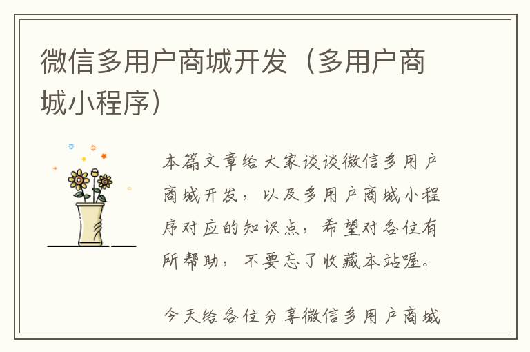 微信多用户商城开发(多用户商城小程序)