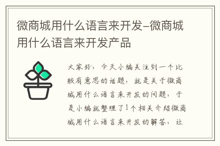 微商城用什么语言来开发-微商城用什么语言来开发产品