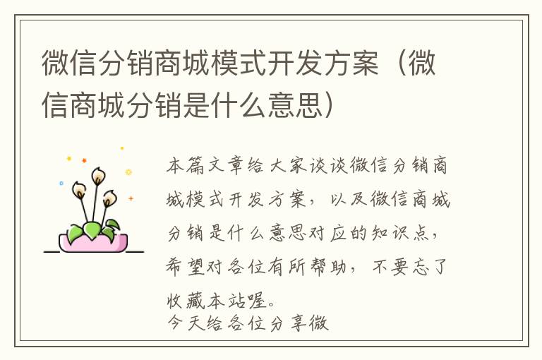 微信分销商城模式开发方案(微信商城分销是什么意思)