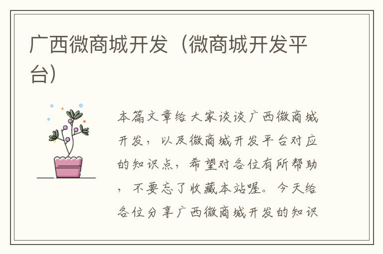 广西微商城开发(微商城开发平台)
