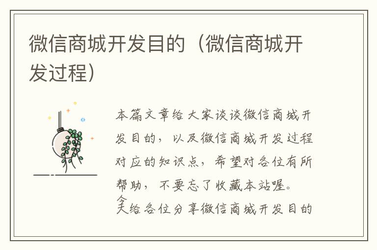 微信商城开发目的(微信商城开发过程)
