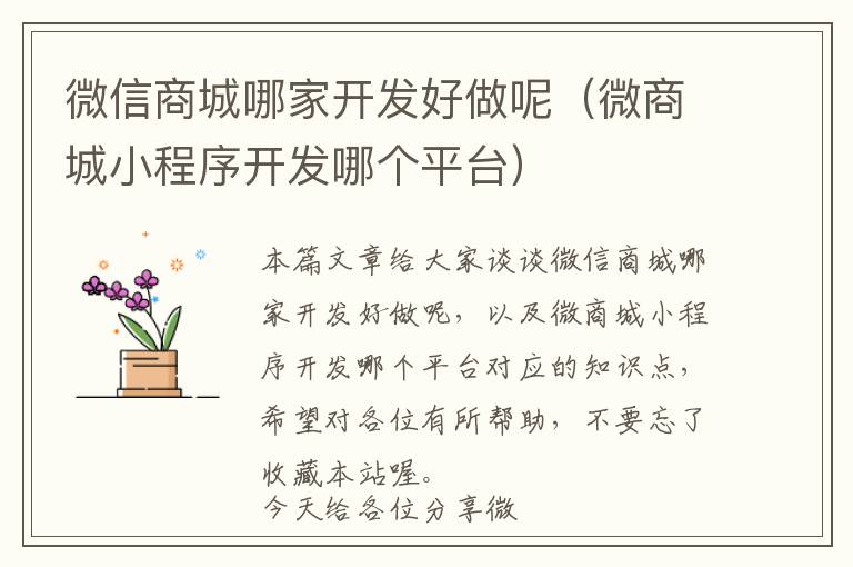 微信商城哪家开发好做呢(微商城小程序开发哪个平台)