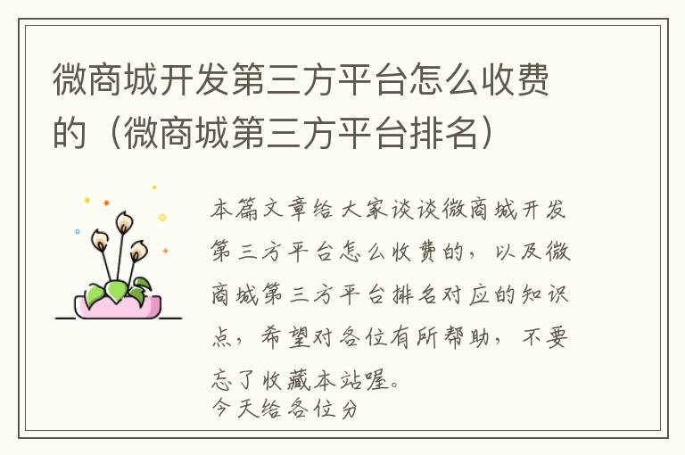 微商城开发第三方平台怎么收费的(微商城第三方平台排名)