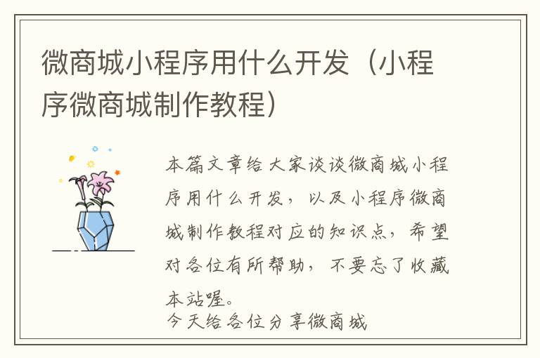 微商城小程序用什么开发(小程序微商城制作教程)