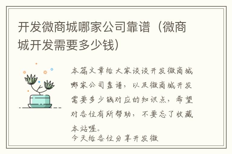 开发微商城哪家公司靠谱(微商城开发需要多少钱)