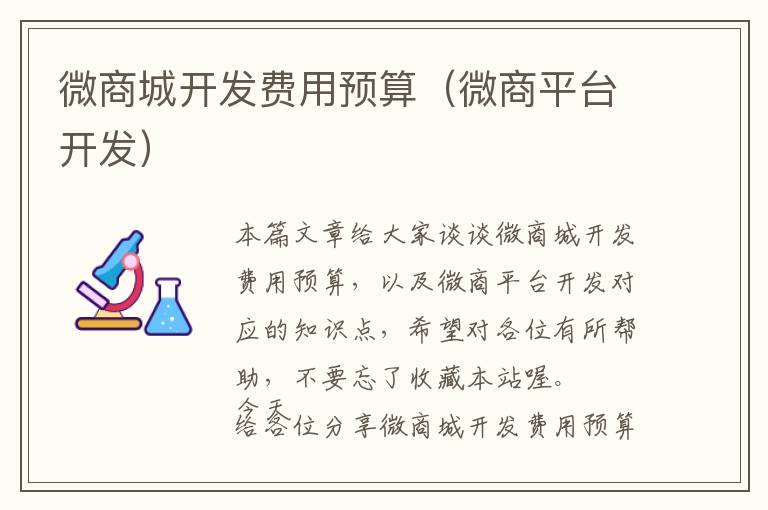 微商城开发费用预算(微商平台开发)