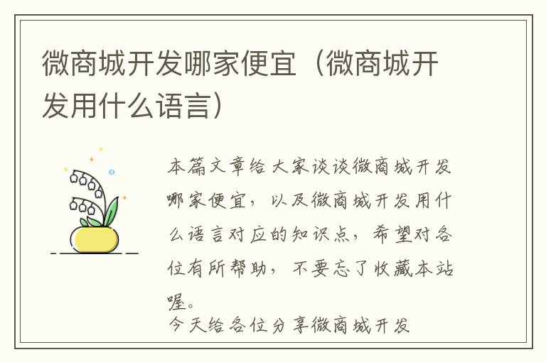 微商城开发哪家便宜(微商城开发用什么语言)
