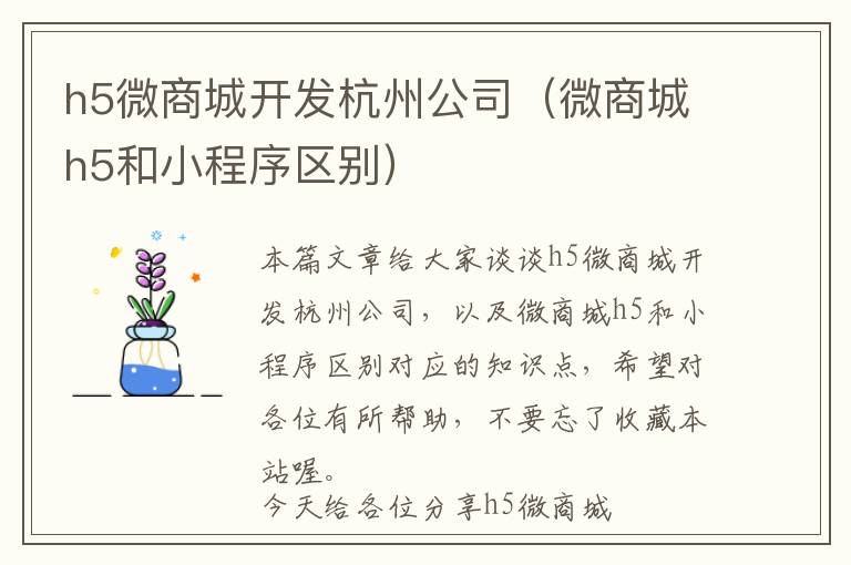h5微商城开发杭州公司(微商城h5和小程序区别)