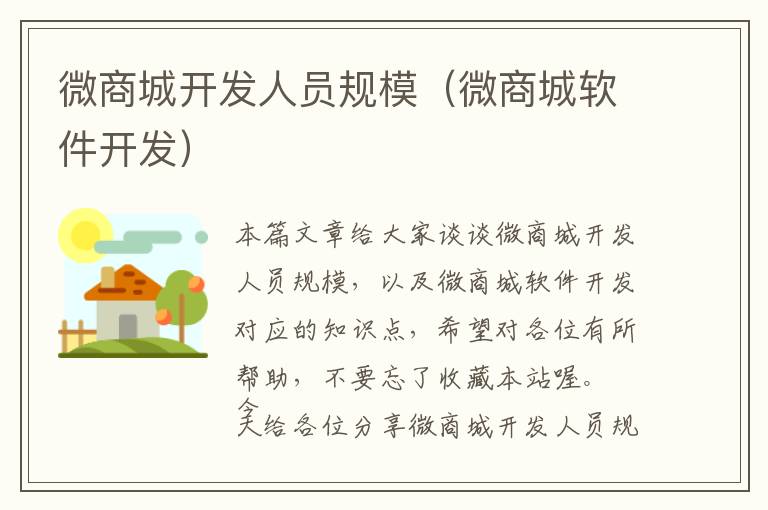 微商城开发人员规模(微商城软件开发)