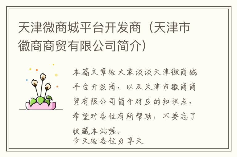 天津微商城平台开发商(天津市徽商商贸有限公司简介)