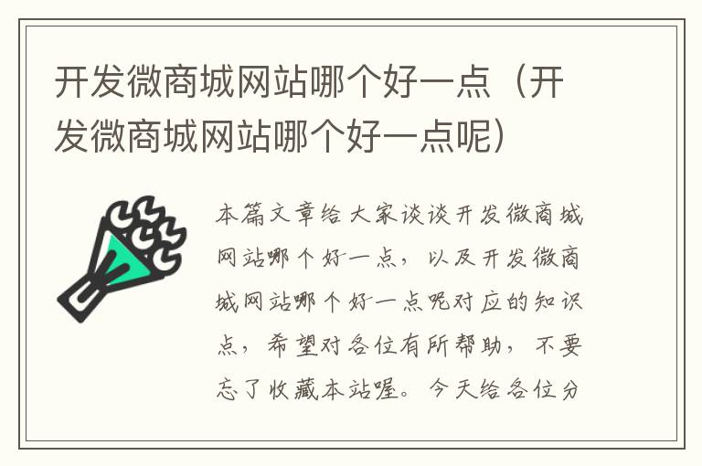 开发微商城网站哪个好一点(开发微商城网站哪个好一点呢)