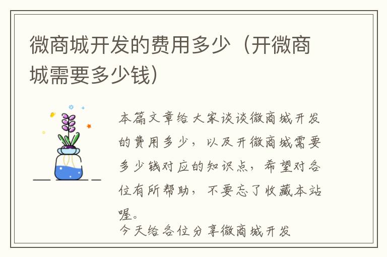 微商城开发的费用多少(开微商城需要多少钱)