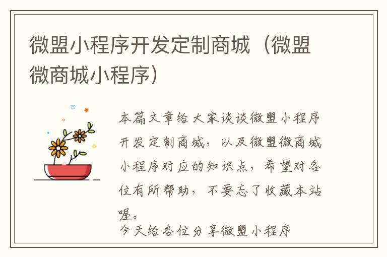 微盟小程序开发定制商城(微盟微商城小程序)