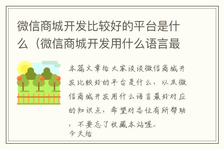 微信商城开发比较好的平台是什么(微信商城开发用什么语言最好)