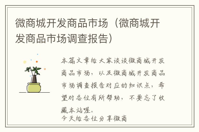 微商城开发商品市场(微商城开发商品市场调查报告)