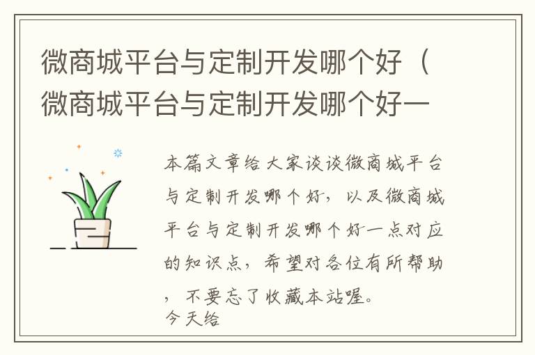 微商城平台与定制开发哪个好(微商城平台与定制开发哪个好一点)