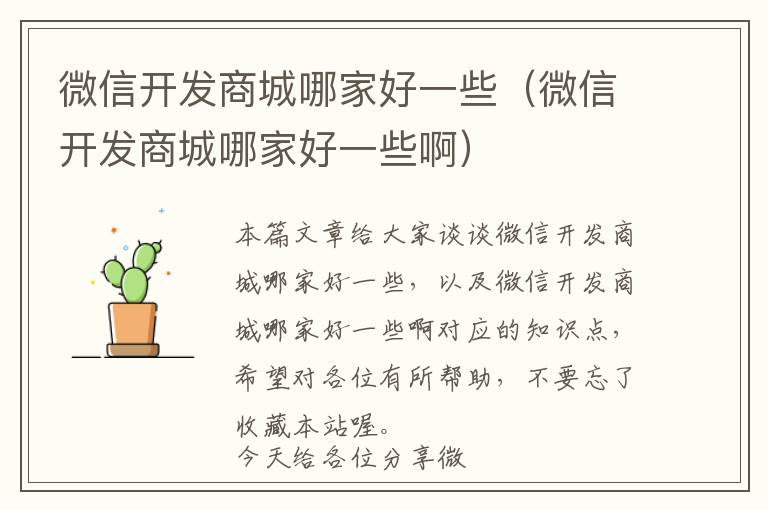 微信开发商城哪家好一些(微信开发商城哪家好一些啊)