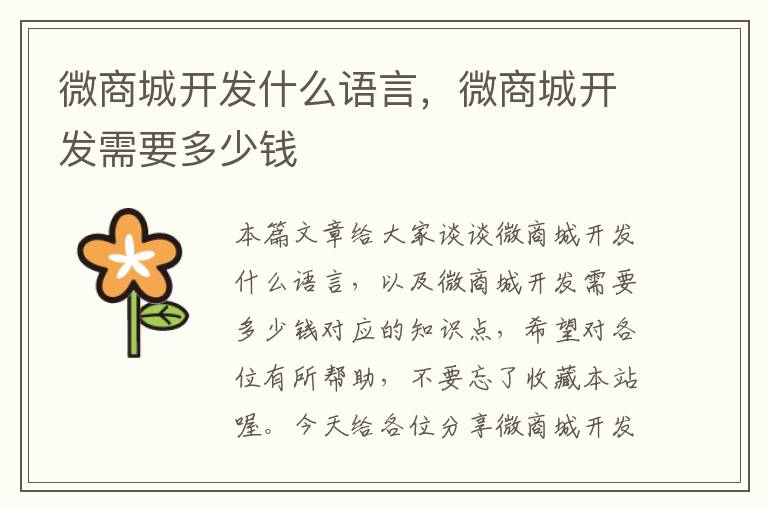 微商城开发什么语言,微商城开发需要多少钱