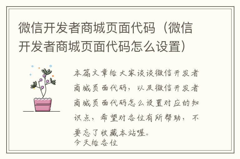 微信开发者商城页面代码(微信开发者商城页面代码怎么设置)
