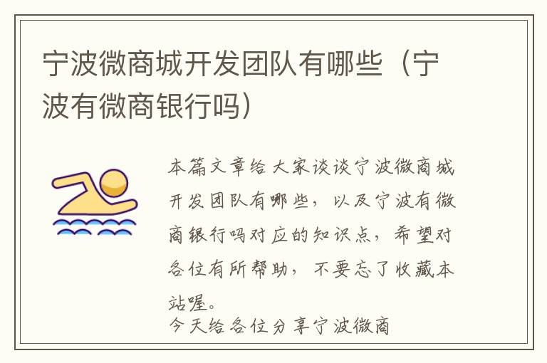 宁波微商城开发团队有哪些(宁波有微商银行吗)
