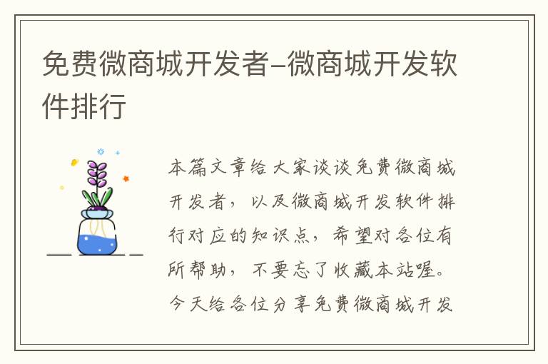 免费微商城开发者-微商城开发软件排行
