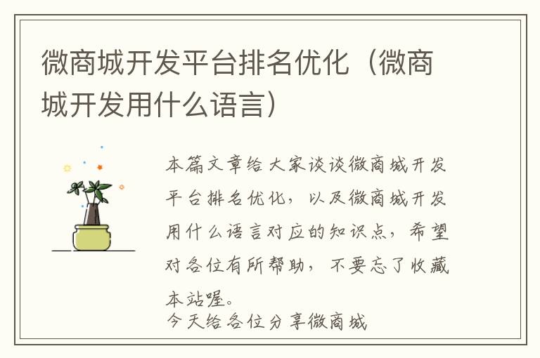 微商城开发平台排名优化(微商城开发用什么语言)