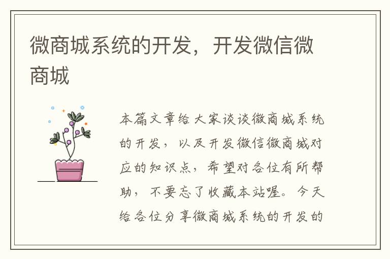 微商城系统的开发,开发微信微商城
