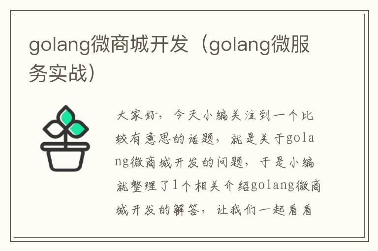 golang微商城开发(golang微服务实战)